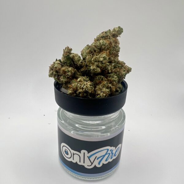 SFV OG (H/I)