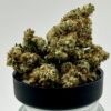 SFV OG (H/I)
