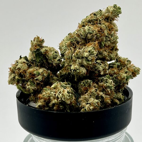 SFV OG (H/I)