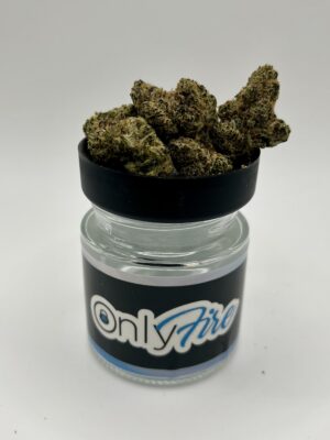Lemon Cherry Gelato (H)