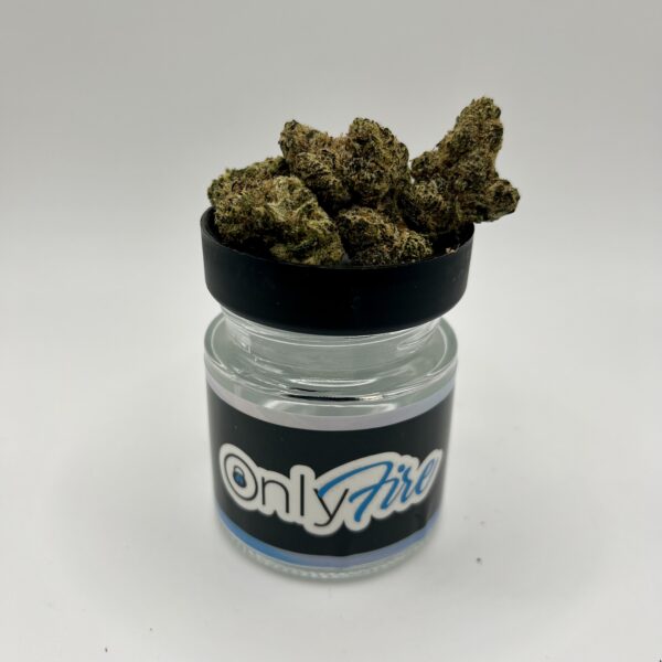 Lemon Cherry Gelato (H)