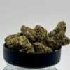 Lemon Cherry Gelato (H)