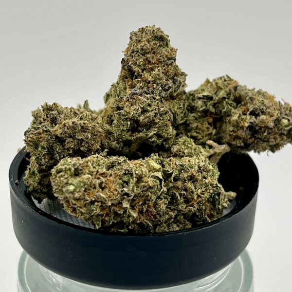 Afghan (I)