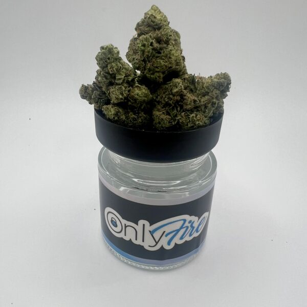 Black Magic Kush (H/I)