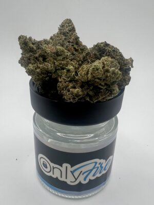 Platinum Gas (H)