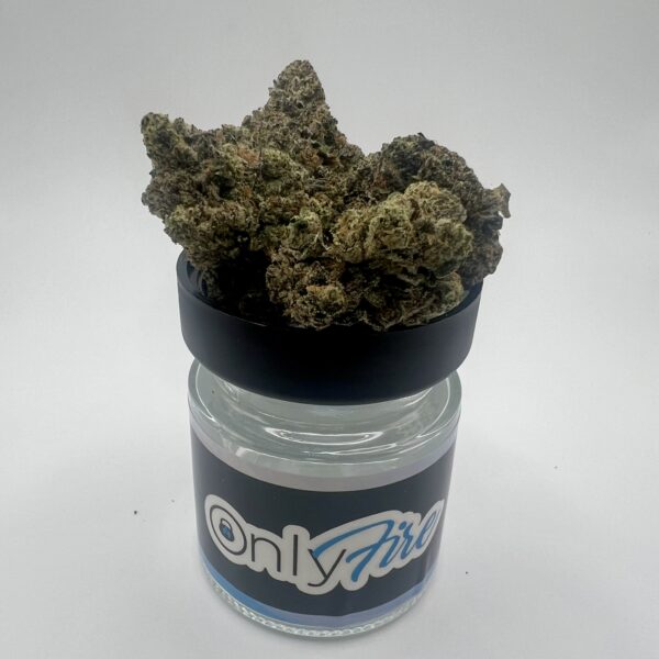Platinum Gas (H)