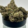Platinum Gas (H)