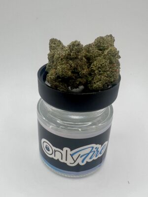 Northern Lights #5 x Haze (H/S)