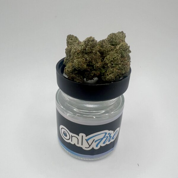 Northern Lights #5 x Haze (H/S)