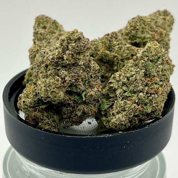 Northern Lights #5 x Haze (H/S)