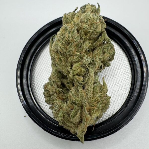 Motorbreath (*lower bama)