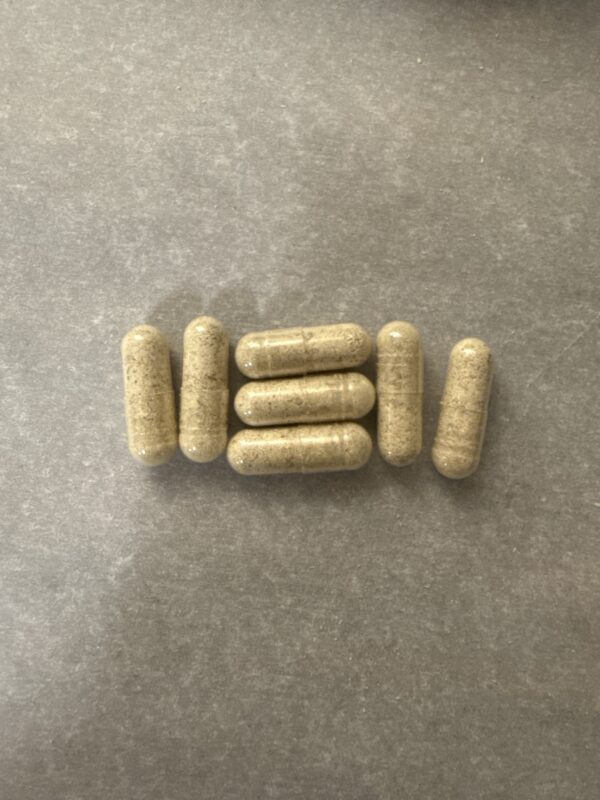 🍄 Hillbilly Microdose Capsules – 30 Day Supply (*lower bama)