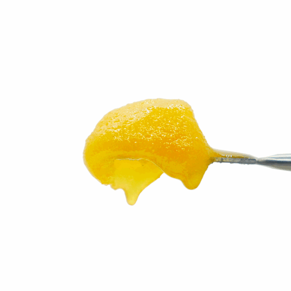 BlueBerry Gary Badder (*cali)