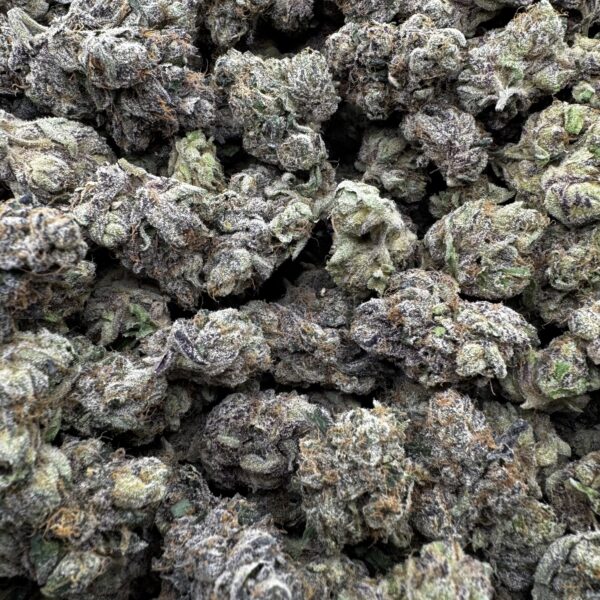 🔵🍷 Blue Zangria (*lower bama)