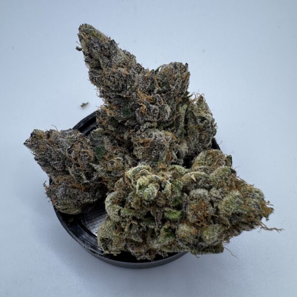 🔵🍷 Blue Zangria (*lower bama)