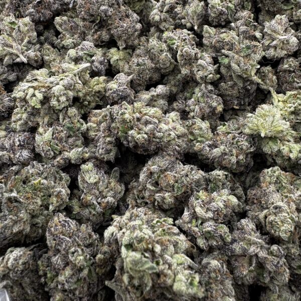 🔥 TAMALEZ (New Batch) (*cali)