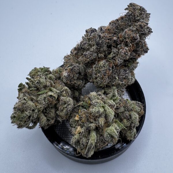 🔥 TAMALEZ (New Batch) (*cali)