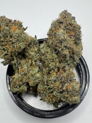 🍬 Oishii × NYC Skittlez (SALE)