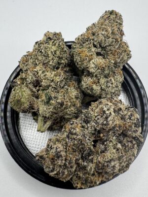 🍋🍒 Turtle Lemon Cherry Gelato