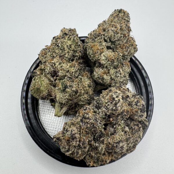 🍋🍒 Turtle Lemon Cherry Gelato