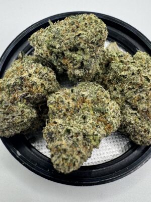 🍬🏙️ Street Runtz