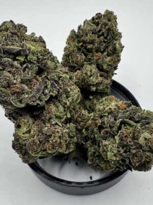 🌴🍬 LA Pop Rocks