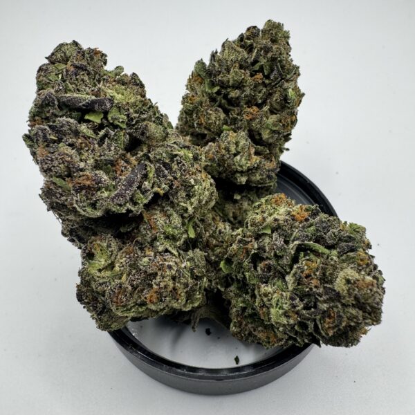 🌴🍬 LA Pop Rocks