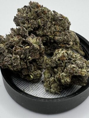 🍪🔥 Oreo
