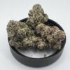 🍋🍒 Lemon Cherry Gelato