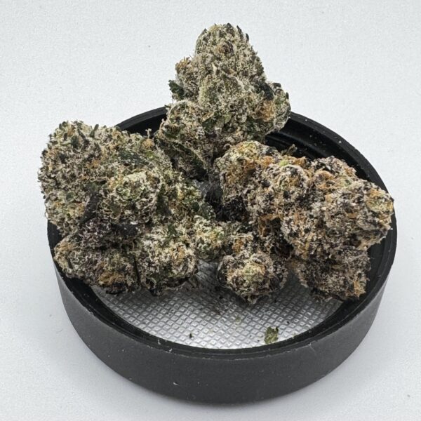 🍋🍒 Lemon Cherry Gelato