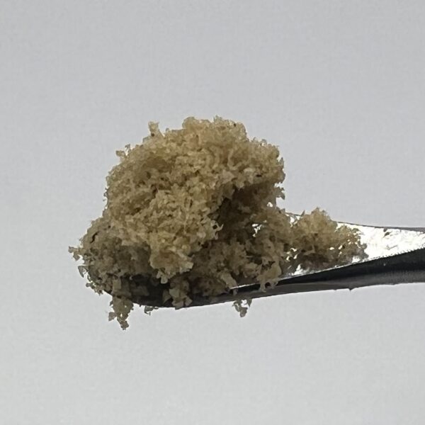 IMG_1823 π₯ FLO OG Γ Chemlatto Kief