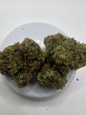 🍋 Lemon Haze — Greenhouse Grown
