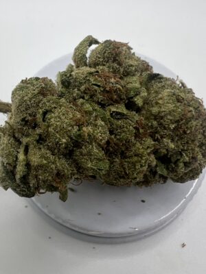 🍦 Ice Cream Cake — Greenhouse Grown