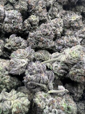 🍒 Amaretto — Greenhouse